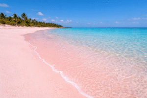 Pink sand beach in the Bahamas with crystal clear turquoise water and soft pastel shoreline